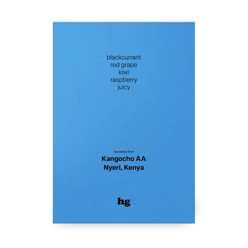 Homeground |kenya - Kangocho AA